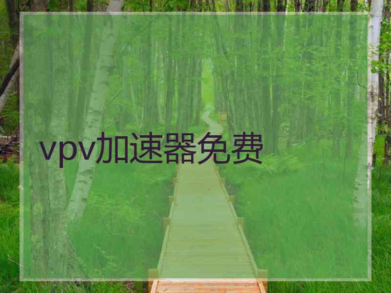 vpv加速器免费